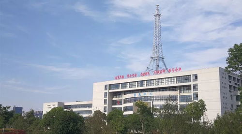 安徽電子信息職業(yè)技術(shù)學院2019年分類考試招生章程